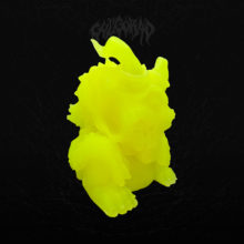 02_Pineapple_GITD_GulGorad
