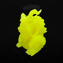 04_Pineapple_GITD_GulGorad